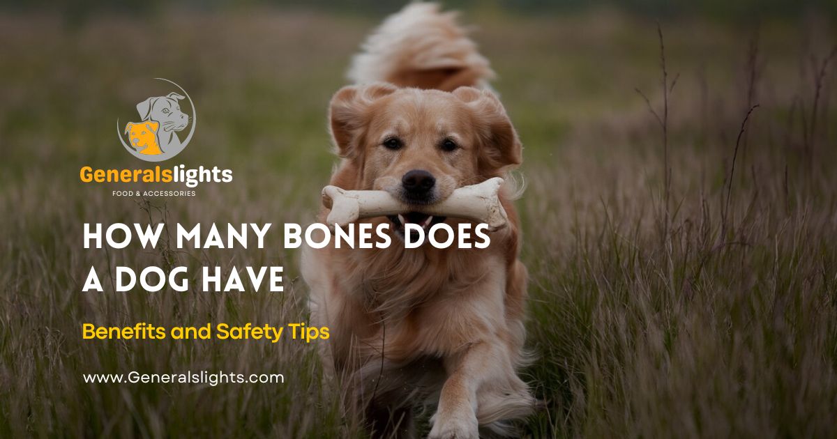 How Many Bones Does A Dog Have