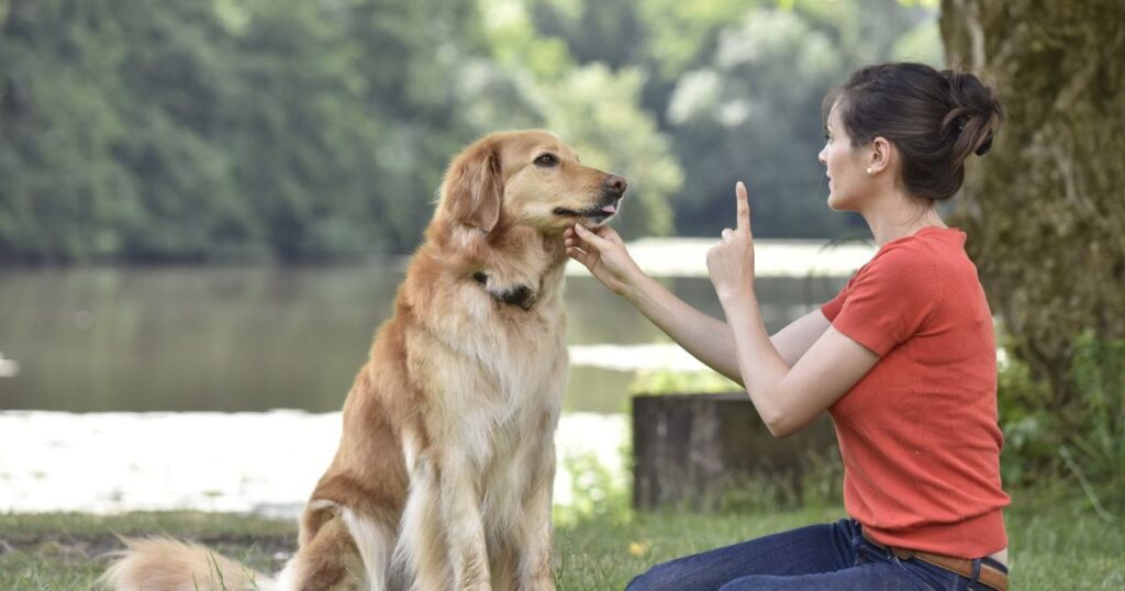 A woman gently pets a dog in the park, illustrating the bond that can be nurtured when learning how to find and choose a dog sitter.