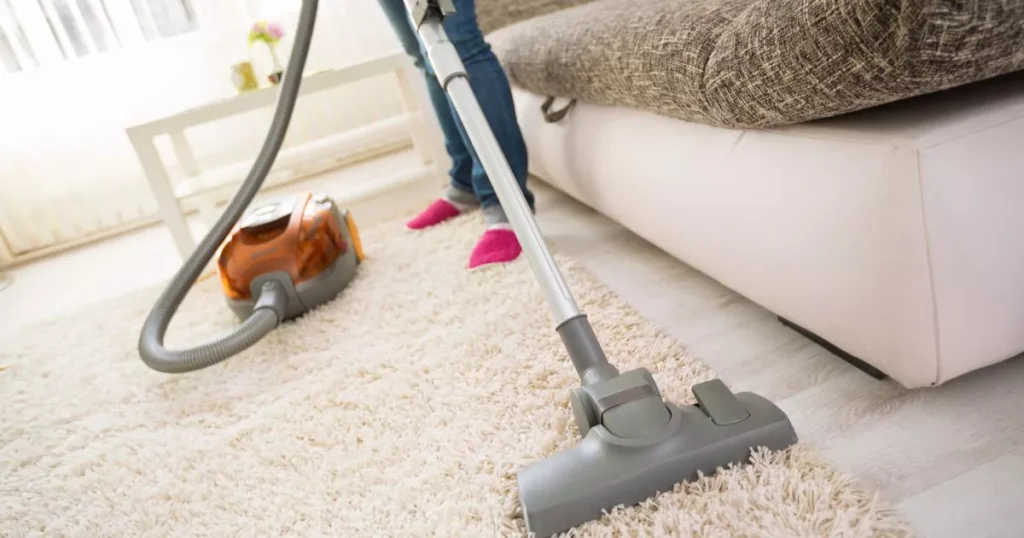 A dog sits on the floor, gazing out the door, highlighting the need for DIY vs Professional Carpet Cleaning for Dog Smell.