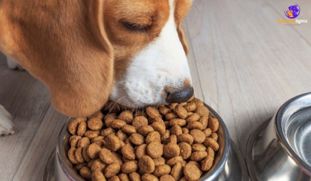 pure-harmony-dog-food-recipes