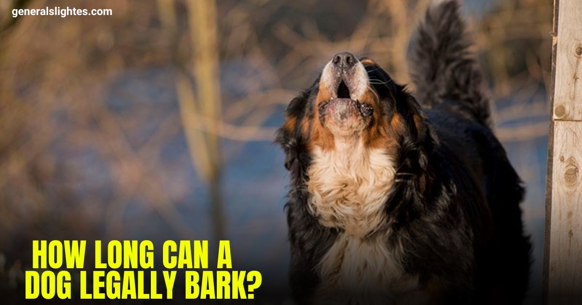 how-long-can-a-dog-legally-bark