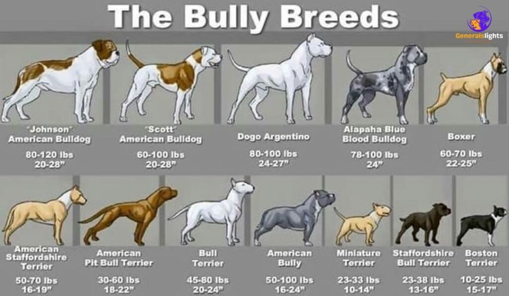 the-challenges-of-owning-a-boxer-breed