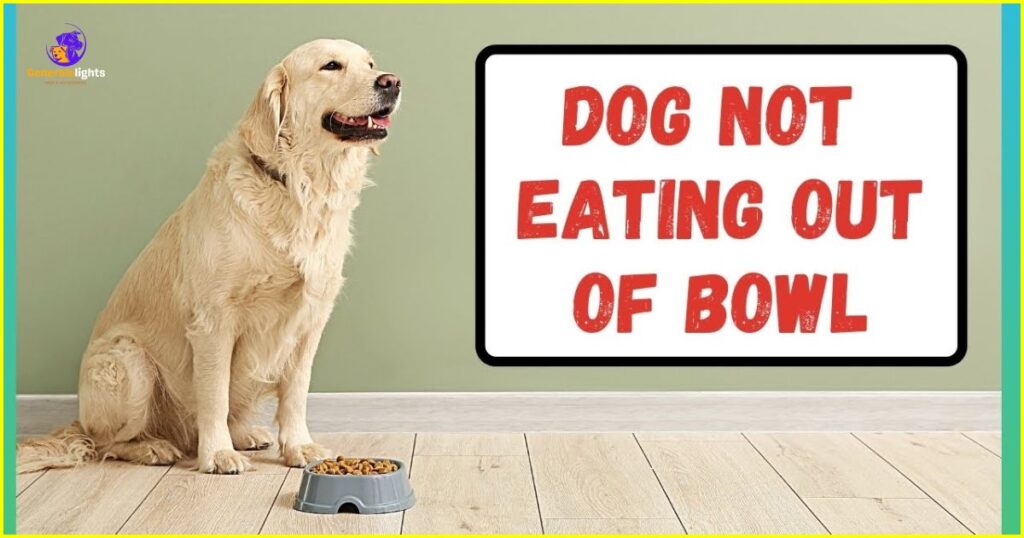 what-causes-a-dog-to-stop-eating